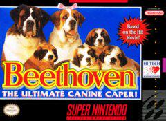 Beethoven - (Loose) (Super Nintendo)