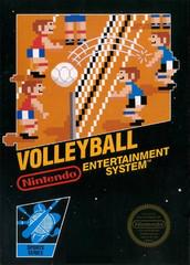 Volleyball [5 Screw] - (Loose) (NES)